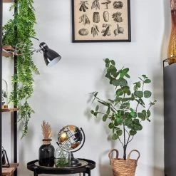 Hofstein Brienz Klemmleuchte Chrom, Schwarz, 1-flammig -Bürolampen Verkäufe brienz klemmleuchte h3545331 11