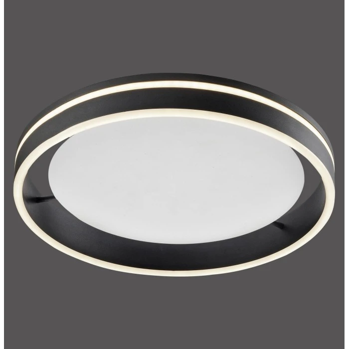 Paul Neuhaus Q-Serie Paul Neuhaus Q-VITO Deckenleuchte LED Anthrazit, 1-flammig, Fernbedienung 2 Paul Neuhaus Q-Serie Paul Neuhaus Q-VITO Deckenleuchte LED Anthrazit, 1-flammig, Fernbedienung – Bild 2