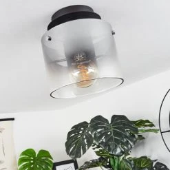 Hofstein Wichita Deckenleuchte Schwarz, Rauchfarben, 1-flammig -Bürolampen Verkäufe wichita deckenleuchte h3368374 11
